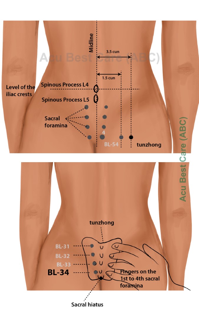 Acubestcare Meridian UB-34 or BL-34